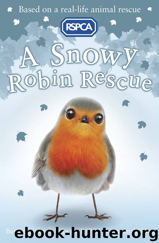 A Snowy Robin Rescue by Mary Kelly