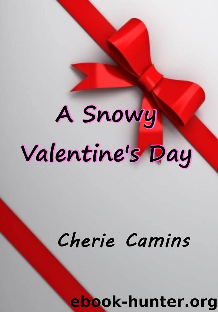 A Snowy Valentine's Day by Cherie Camins