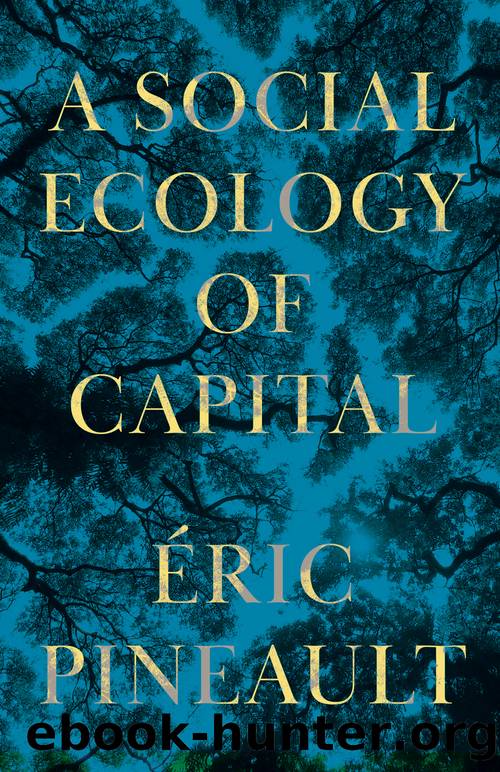 A Social Ecology of Capital by Éric Pineault