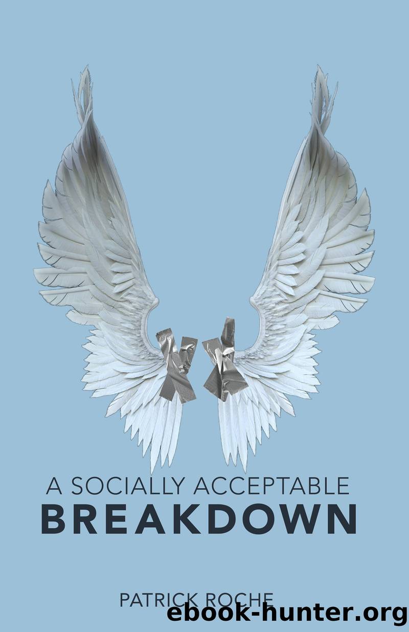 A Socially Acceptable Breakdown by Patrick Roche