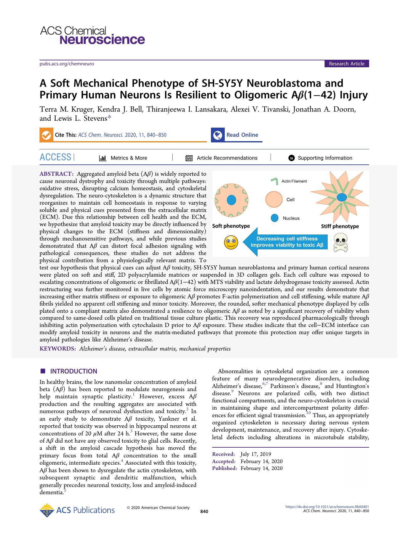 A Soft Mechanical Phenotype of SH-SY5Y Neuroblastoma and Primary Human Neurons Is Resilient to Oligomeric AÎ²(1â42) Injury by unknow