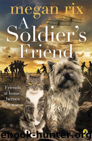 A Soldier's Friend by Megan Rix