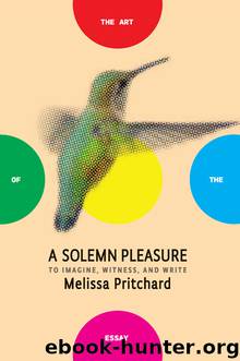 A Solemn Pleasure by Melissa Pritchard