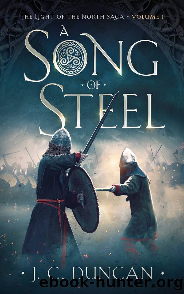 A Song Of Steel: A Viking saga (The Light of the North saga Book 1) by Duncan J C