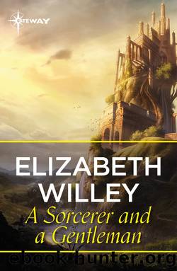 A Sorcerer and a Gentleman by Elizabeth Willey