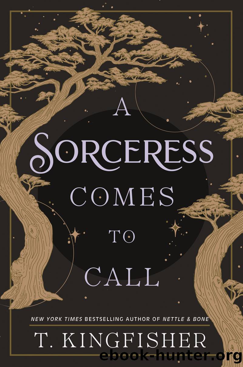 A Sorceress Comes to Call by T. Kingfisher