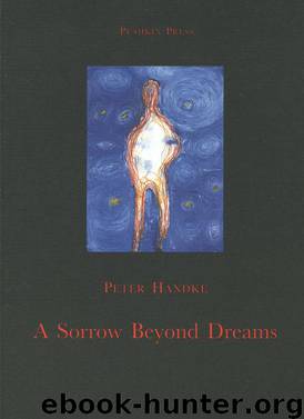 A Sorrow Beyond Dreams by Peter Handke