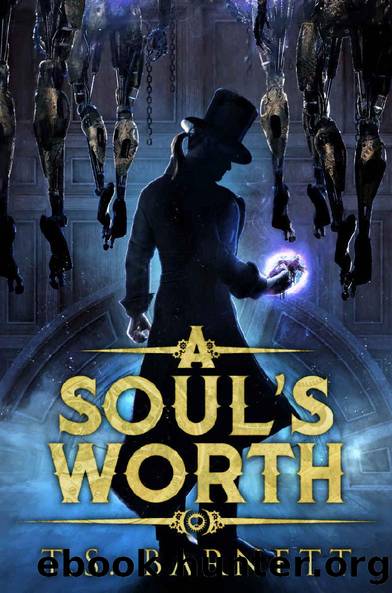 A Soul's Worth by T. S. Barnett