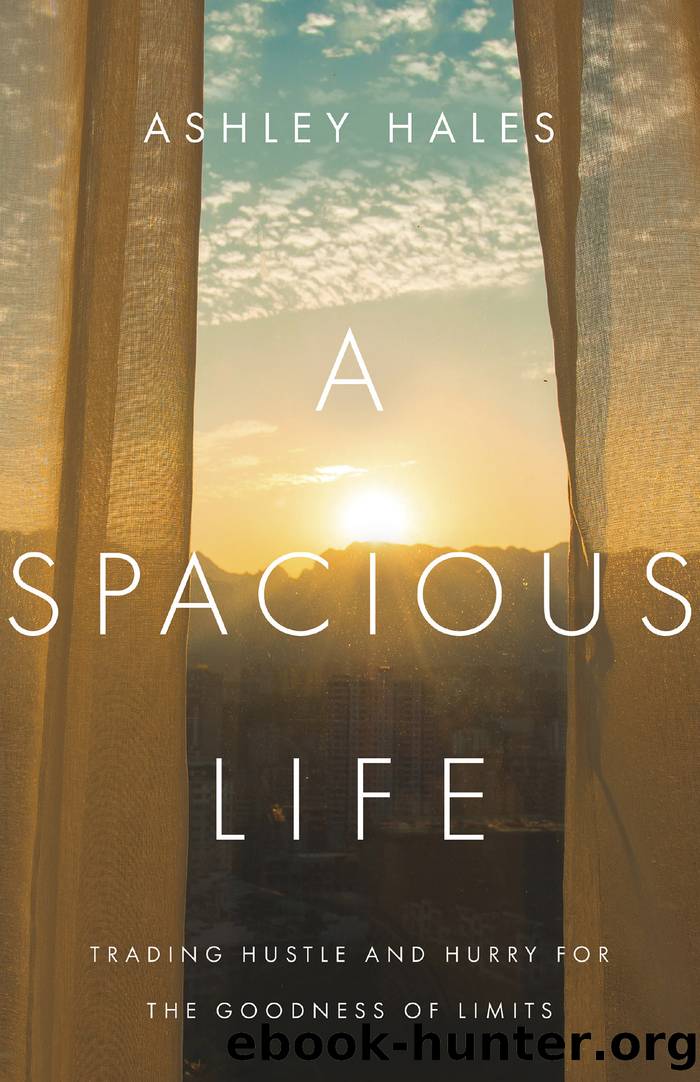 A Spacious Life by Ashley Hales