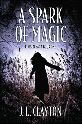 A Spark Of Magic by J. L. Clayton