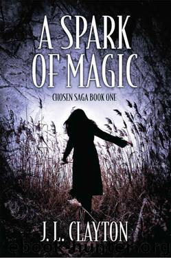 A Spark Of Magic: Chosen Saga Book One by J. L. Clayton