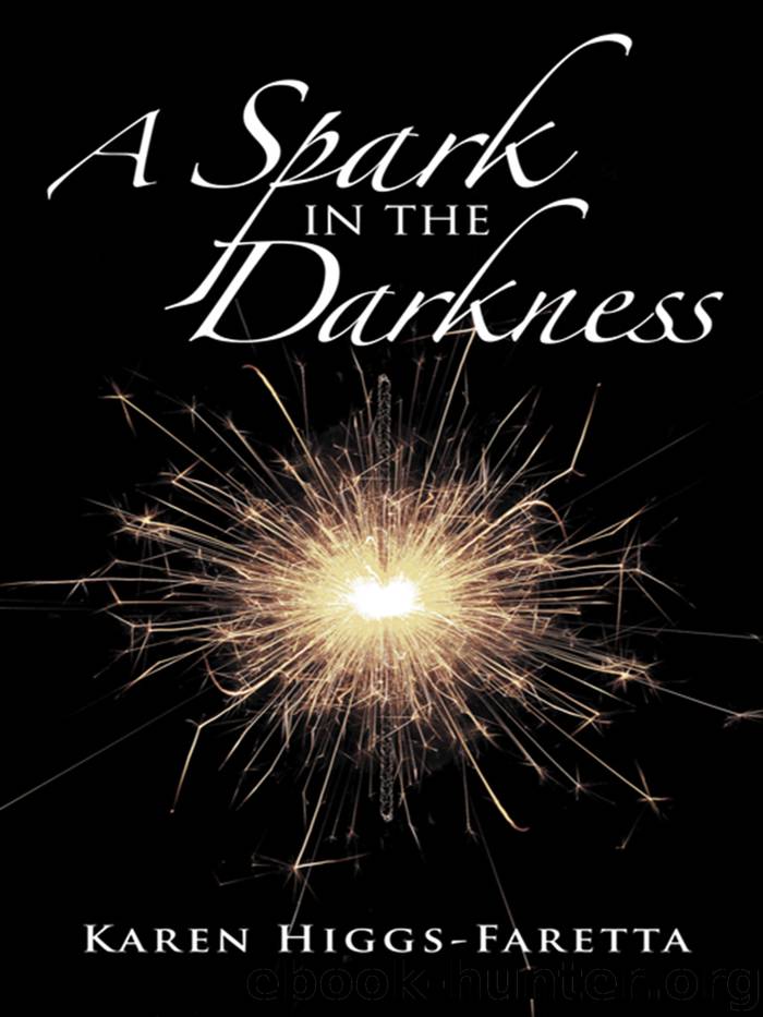 A Spark in the Darkness by karen higgs-faretta