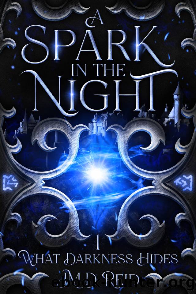 A Spark in the Night: A Gripping Dark Fantasy Tale (What Darkness Hides Book 1) by JMD Reid