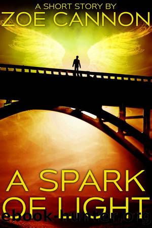 A Spark of Light by Zoe Cannon