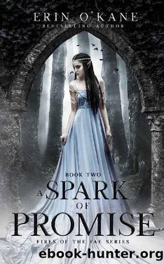 A Spark of Promise: Fires of the Fae, book two (Fires of the Fae Series 2) by Erin O'Kane