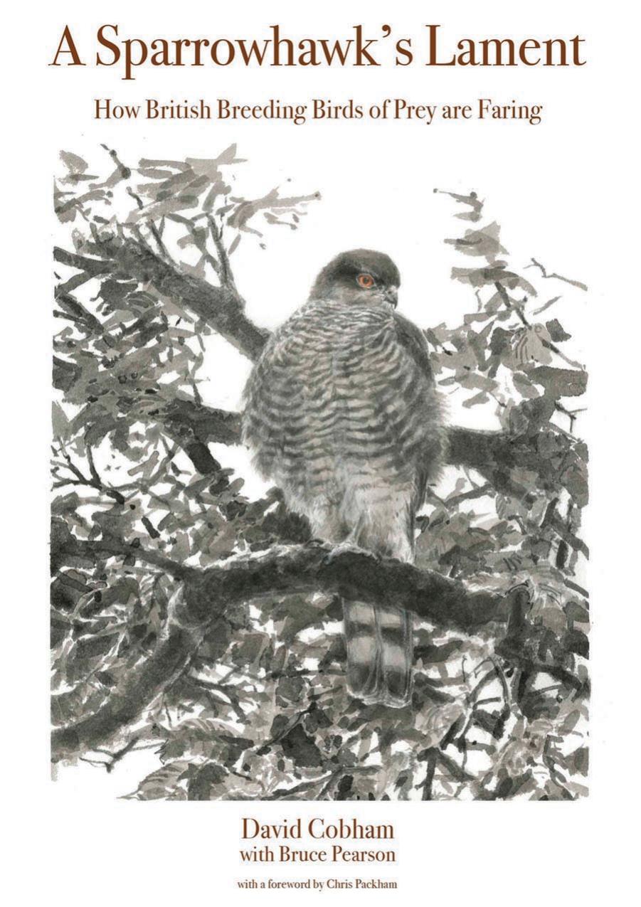 A Sparrowhawk's Lament: How British Breeding Birds of Prey Are Faring by Unknow