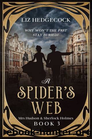 A Spider's Web by Liz Hedgecock
