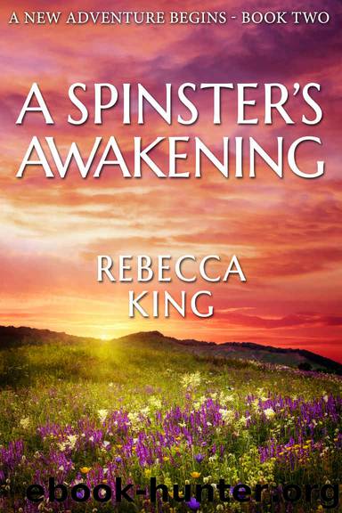 A Spinster's Awakening (A New Adventure Begins - Star Elite Book 2) by Rebecca King