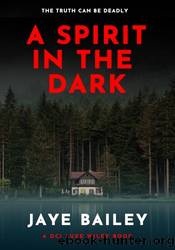 A Spirit in the Dark by Jaye Bailey