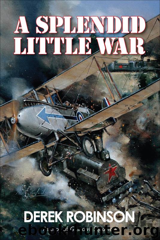 A Splendid Little War by Derek Robinson