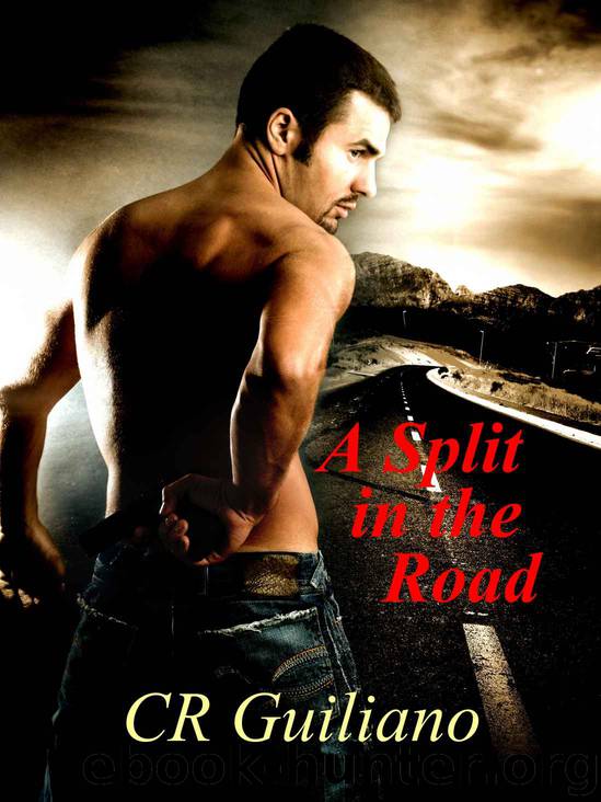 A Split in the Road (Vampire Wars Book 3) by CR Guiliano