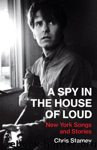 A Spy in the House of Loud by Chris Stamey