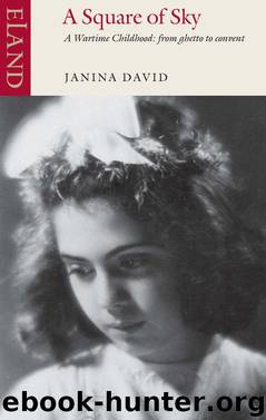 A Square of Sky by Janina David