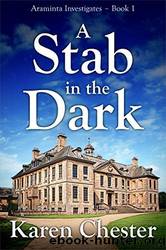 A Stab in the Dark by Karen Chester