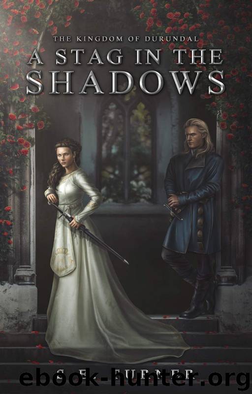 A Stag in the Shadows by S E Turner