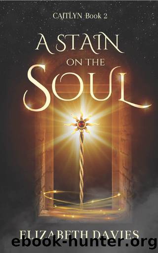 A Stain on the Soul by Elizabeth Davies