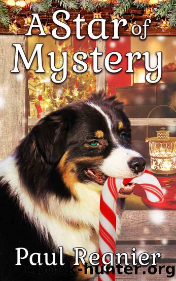 A Star of Mystery (A Luke and Bandit cozy mystery Book 3) by Paul Regnier