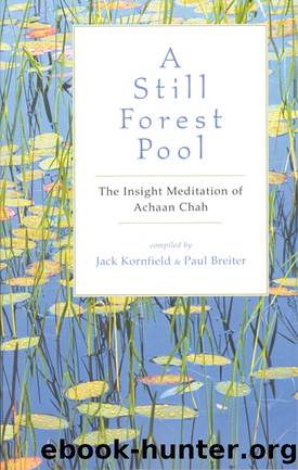A Still Forest Pool by Jack Kornfield & Paul Breiter