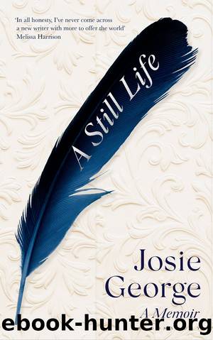 A Still Life by Josie George