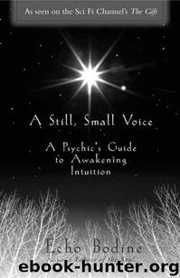 A Still, Small Voice: A Psychic's Guide to Awakening Intuition by Echo Bodine