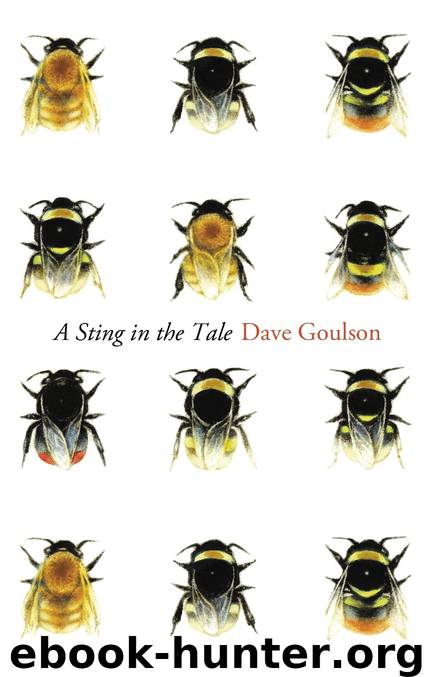 A Sting in the Tale by Dave Goulson