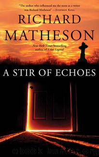 A Stir Of Echoes by Richard Matheson