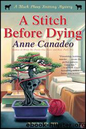 A Stitch Before Dying by Anne Canadeo