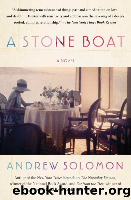 A Stone Boat by Andrew Solomon