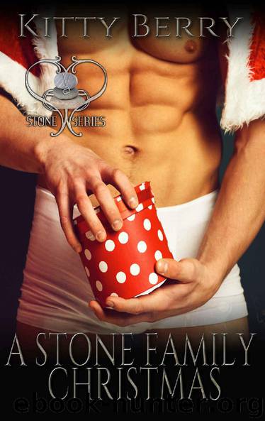 A Stone Family Christmas: The Stone Series Holiday Edition by Kitty Berry