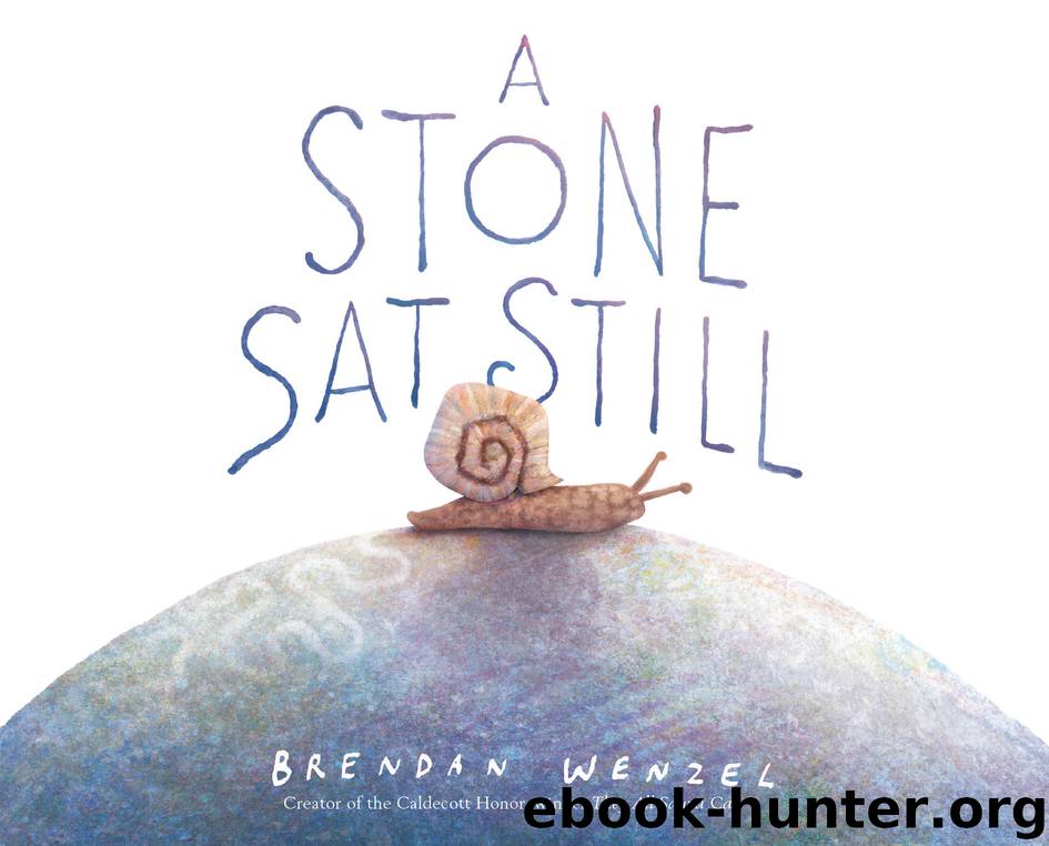 A Stone Sat Still by Brendan Wenzel