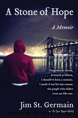 A Stone of Hope by Jim St. Germain