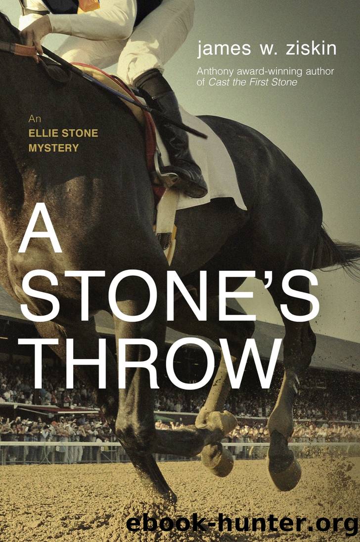 A Stone's Throw by James W Ziskin