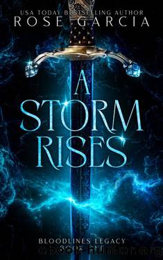 A Storm Rises (Bloodlines Legacy Book 1) by Rose Garcia