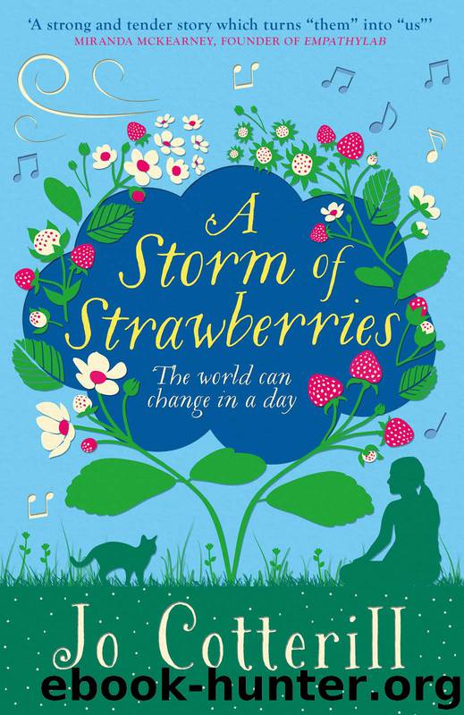 A Storm of Strawberries by Jo Cotterill