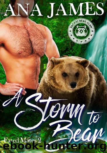 A Storm to Bear by James Ana
