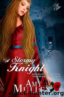 A Stormy Knight by Amy Mullen