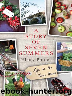A Story of Seven Summers by Hilary Burden