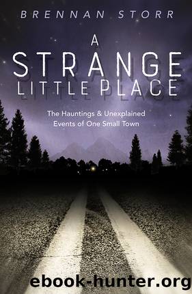 A Strange Little Place by Brennan Storr