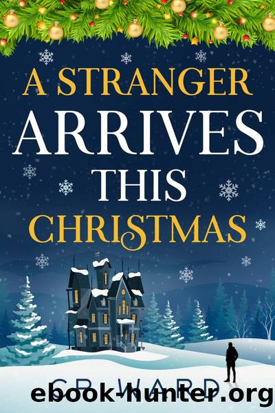 A Stranger Arrives This Christmas by CP Ward