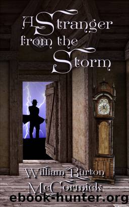 A Stranger from the Storm by William Burton McCormick